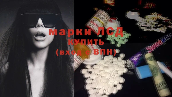 индика Бежецк