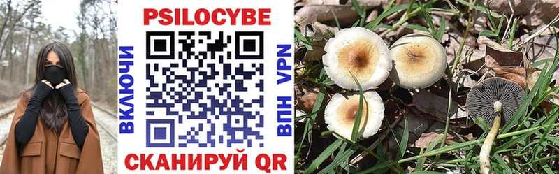гидра рабочий сайт  Кизилюрт  Псилоцибиновые грибы GOLDEN TEACHER 